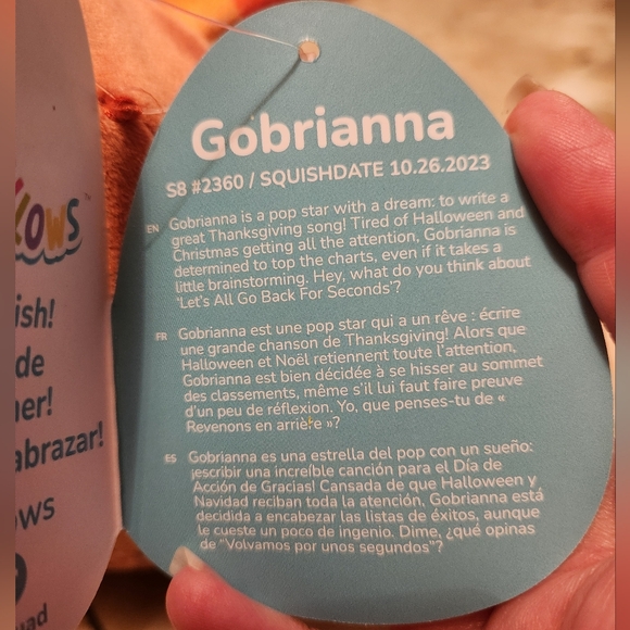 Squishmallows Turkey Gobrianna - Picture 4 of 5